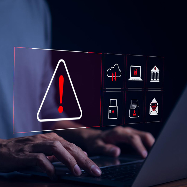Cryptographic Issues